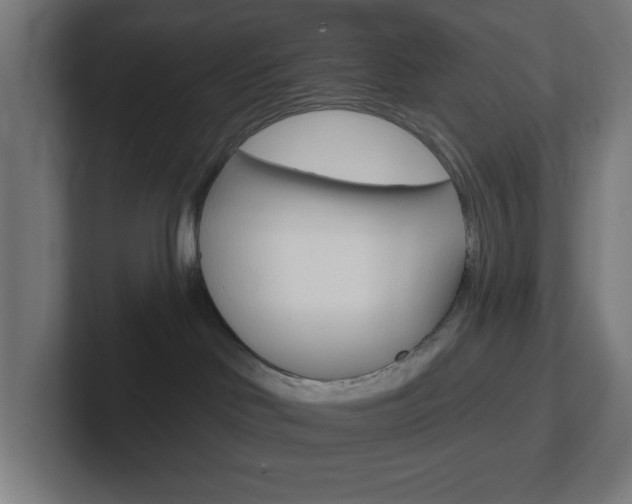 X0000102410046200808011025