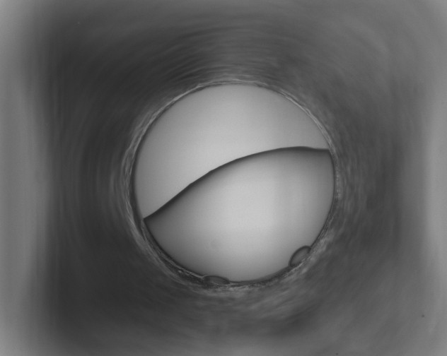 X0000102410049200808011024