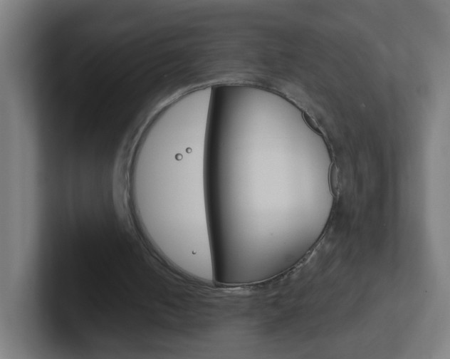X0000102410050200808011024