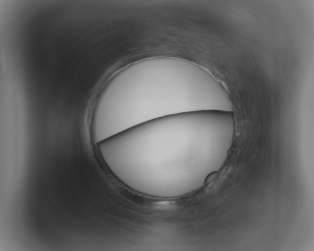 X0000102410053200808011024