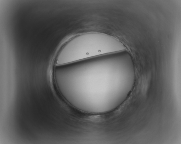 X0000102410054200808011024