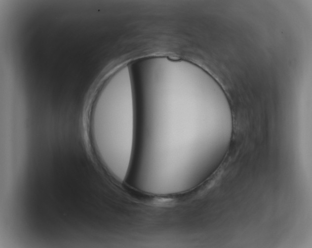 X0000102410055200808011024