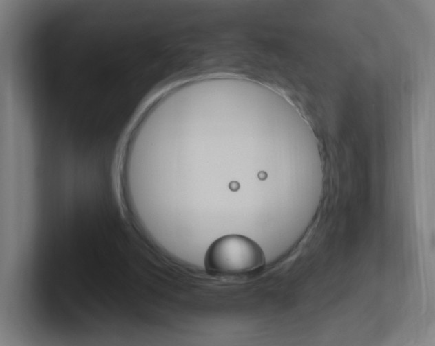 X0000102410056200808011024