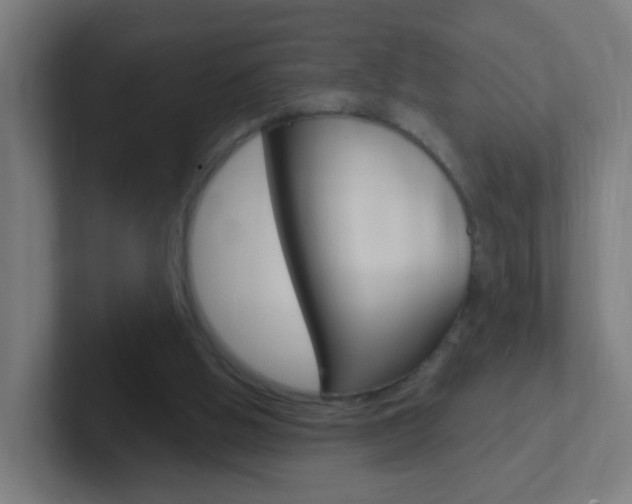 X0000102410058200808011024