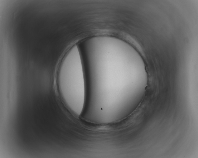 X0000102410059200808011024