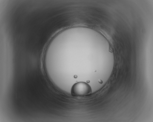 X0000102410060200808011024