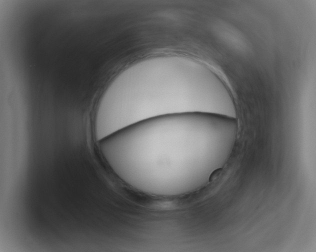 X0000102410061200808011024