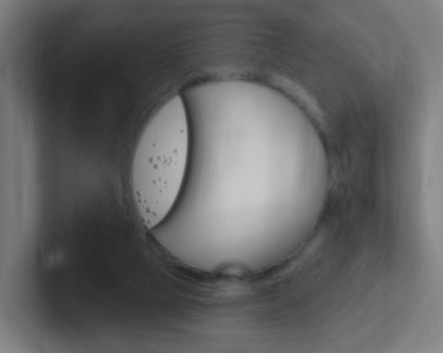 X0000102410065200808011024
