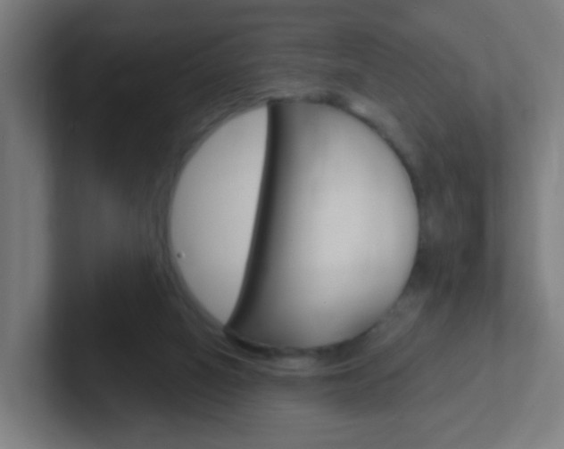 X0000102410066200808011024