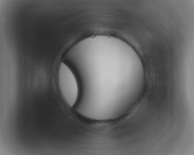 X0000102410067200808011024