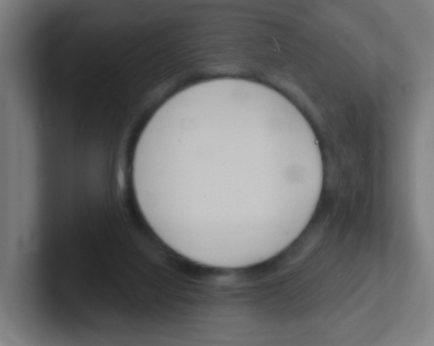 X0000102410068200808011024