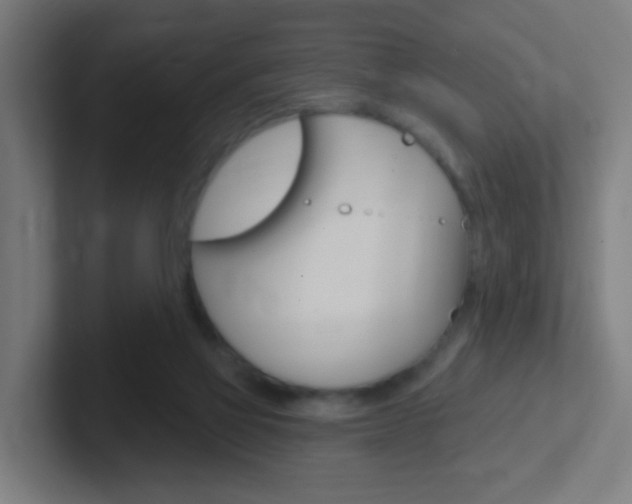 X0000102410069200808011024