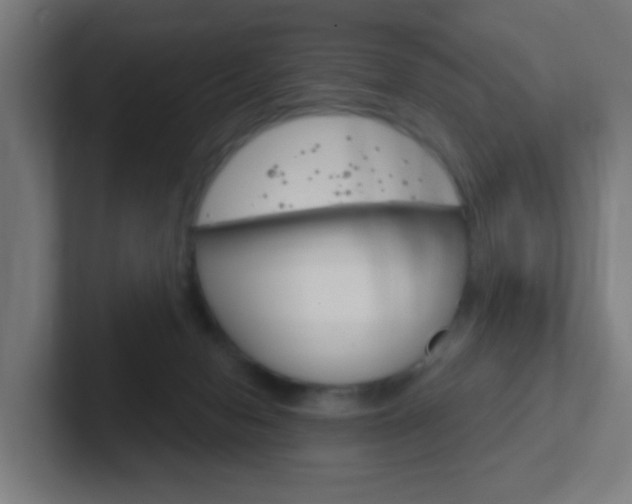 X0000102410078200808011025
