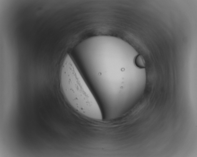 X0000102410079200808011025
