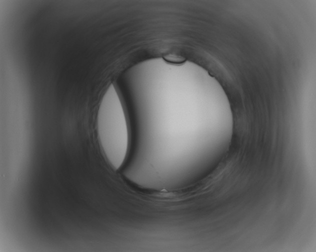 X0000102410085200808011025