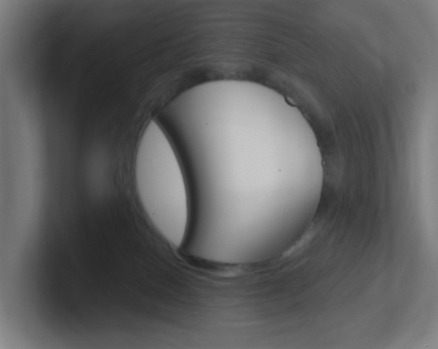 X0000102410086200808011025