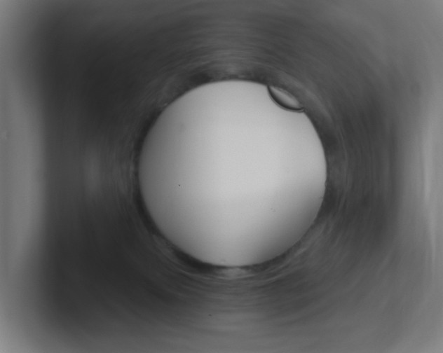 X0000102410087200808011025