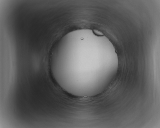 X0000102410088200808011025