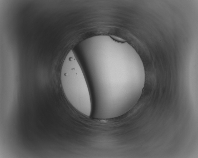 X0000102410091200808011025
