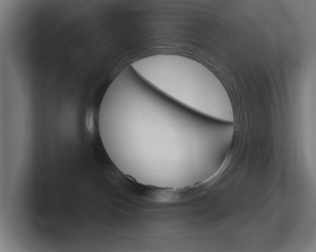 X0000102410094200808011025