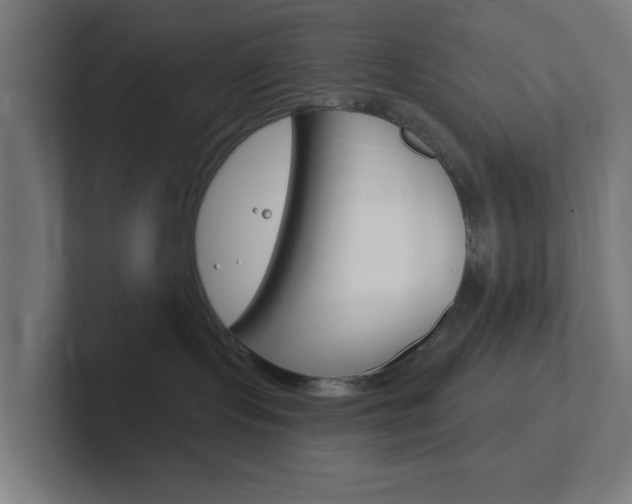 X0000102410095200808011025