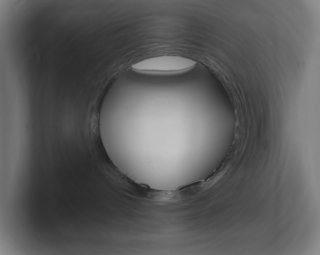 X0000102410096200808011025