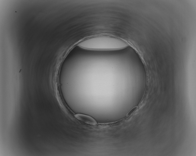 X0000102410097200808011024