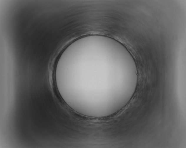 X0000102410098200808011024
