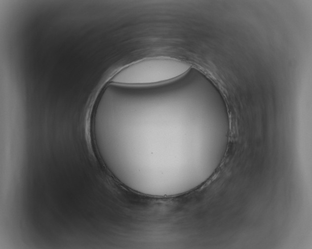 X0000102410099200808011024
