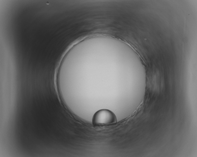 X0000102410100200808011024