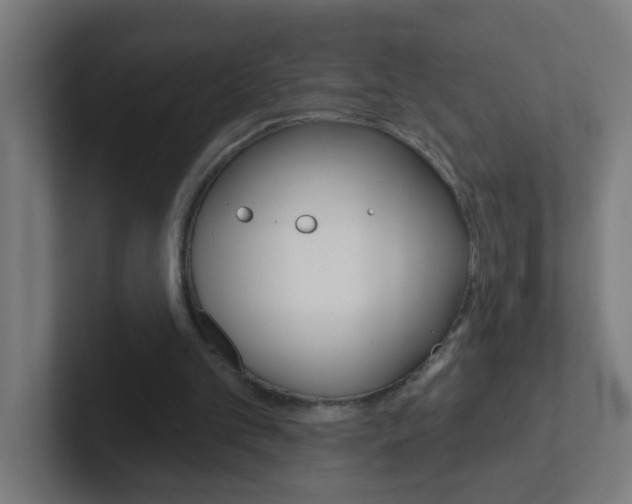 X0000102410101200808011024