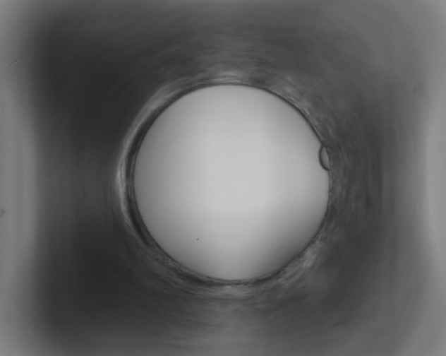 X0000102410102200808011024