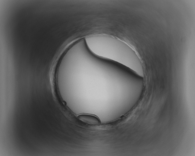 X0000102410103200808011024