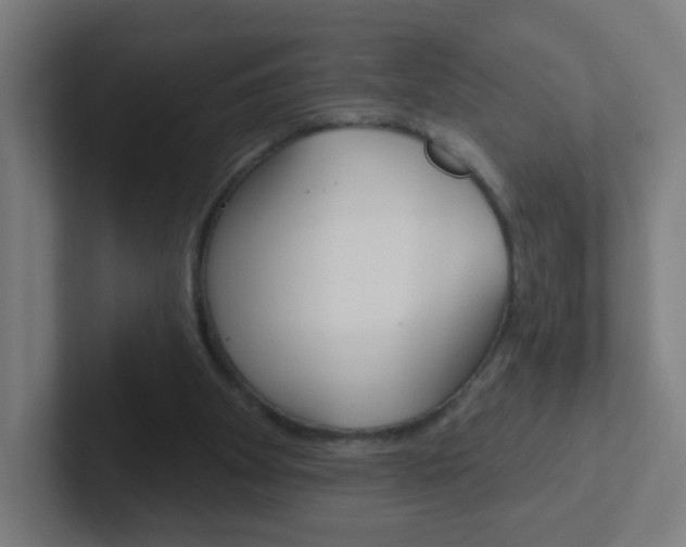 X0000102410105200808011024