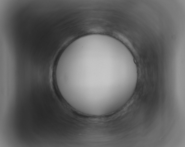 X0000102410106200808011024