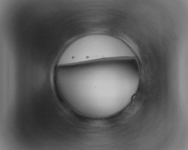 X0000102410107200808011024