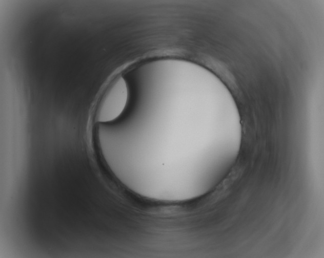 X0000102410108200808011024
