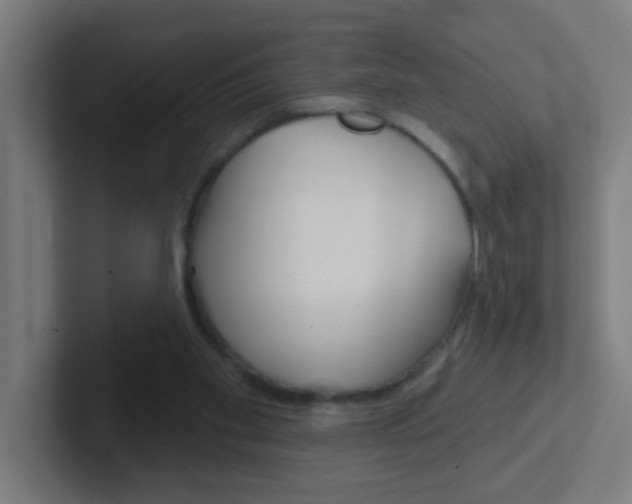 X0000102410109200808011024