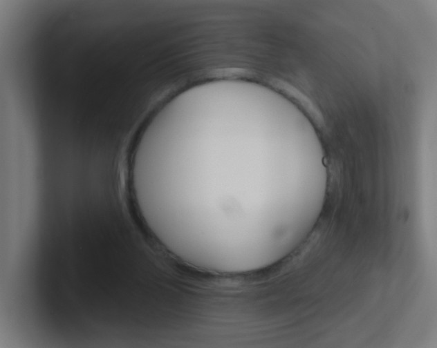 X0000102410110200808011024