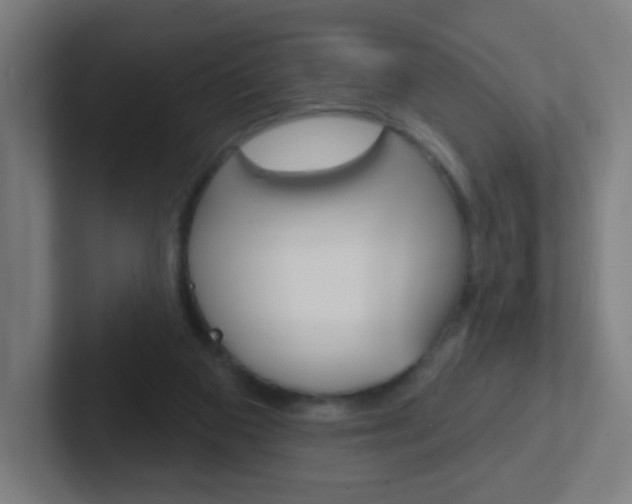 X0000102410113200808011024