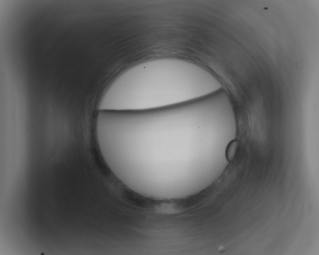 X0000102410114200808011024