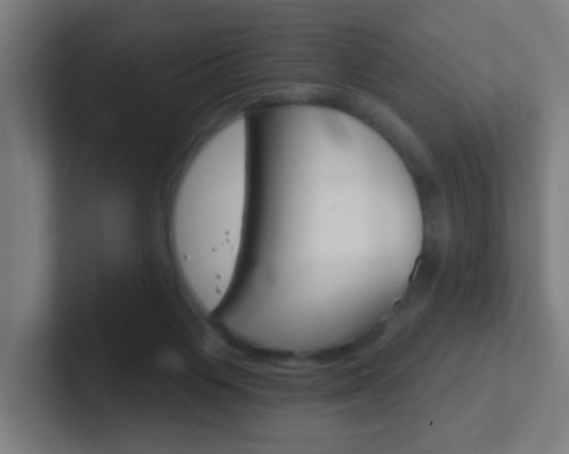 X0000102410119200808011024
