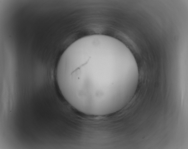 X0000102410122200808011024