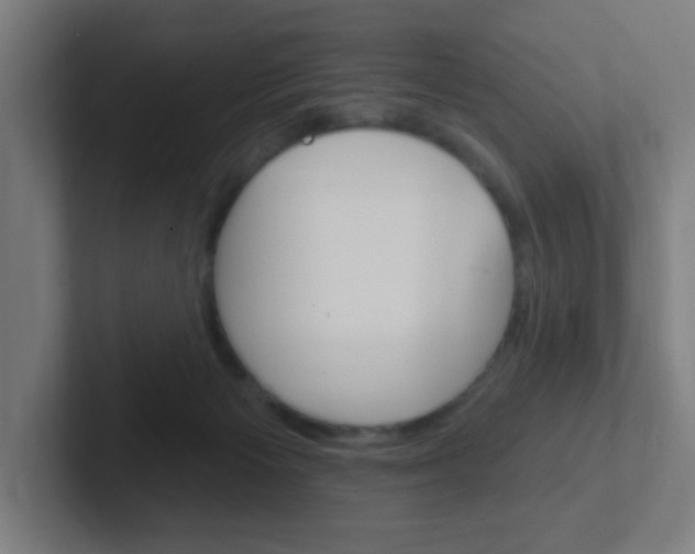 X0000102410125200808011024