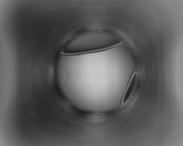 X0000102410128200808011024