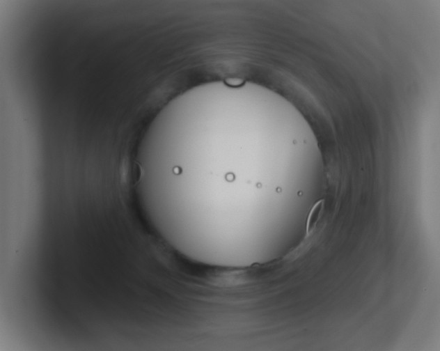 X0000102410132200808011024