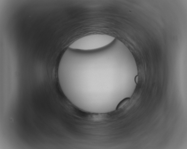 X0000102410134200808011024
