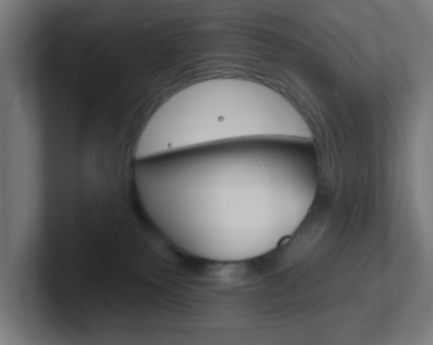 X0000102410135200808011024