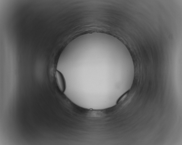 X0000102410137200808011024