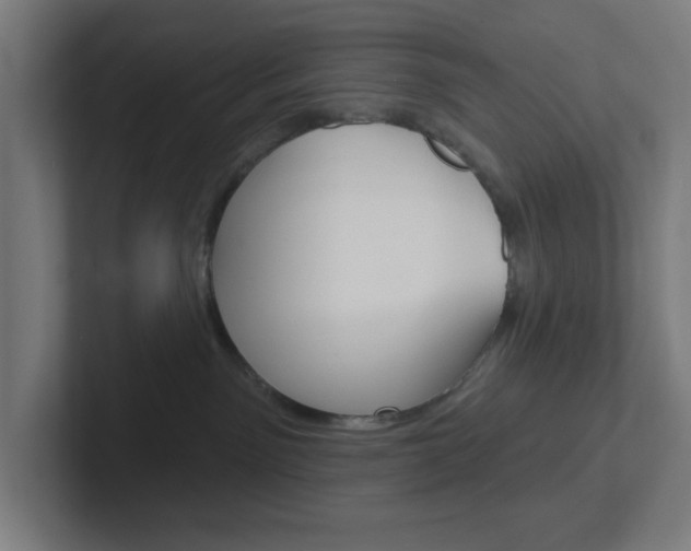 X0000102410141200808011024
